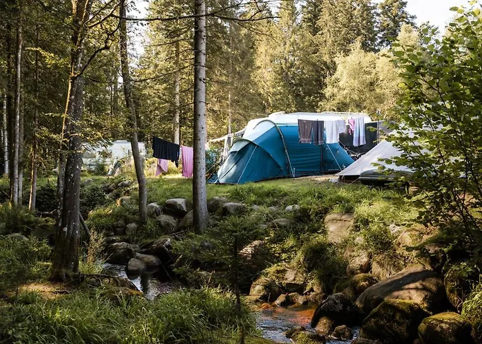Flower Camping La Steniole