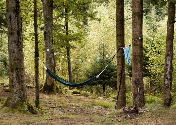 Flower Camping La Steniole